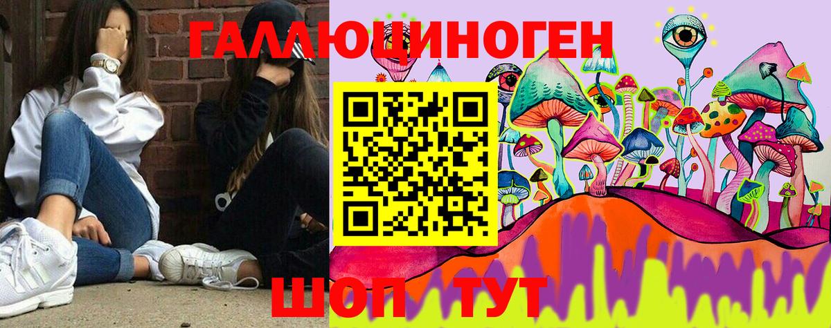Галлюциногенные грибы Cubensis Калининград